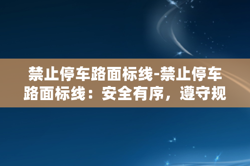 禁止停车路面标线-禁止停车路面标线：安全有序，遵守规则！