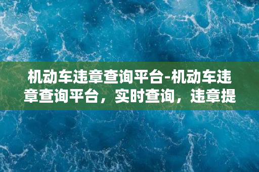 机动车违章查询平台-机动车违章查询平台，实时查询，违章提醒、处理服务一站式解决