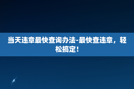 当天违章最快查询办法-最快查违章，轻松搞定！