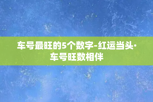 车号最旺的5个数字-红运当头·车号旺数相伴