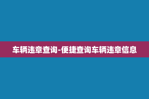 车辆违章查询-便捷查询车辆违章信息