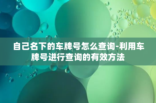 自己名下的车牌号怎么查询-利用车牌号进行查询的有效方法