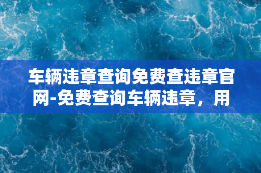 车辆违章查询免费查违章官网-免费查询车辆违章，用官方查询网站简单便捷