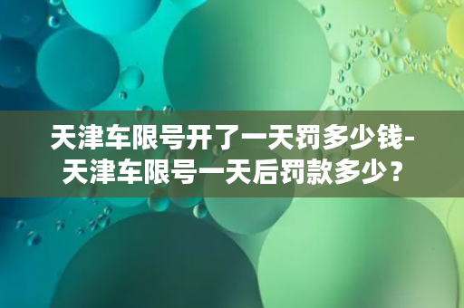 天津车限号开了一天罚多少钱-天津车限号一天后罚款多少？