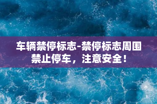 车辆禁停标志-禁停标志周围禁止停车，注意安全！