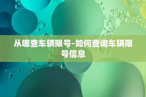 从哪查车辆限号-如何查询车辆限号信息