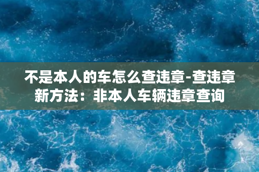 不是本人的车怎么查违章-查违章新方法：非本人车辆违章查询