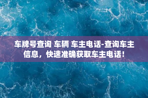 车牌号查询 车辆 车主电话-查询车主信息，快速准确获取车主电话！