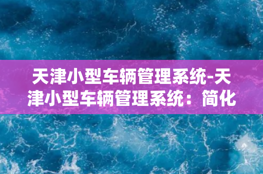 天津小型车辆管理系统-天津小型车辆管理系统：简化交通管理，提升市民出行品质