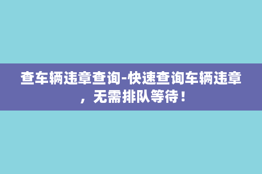 查车辆违章查询-快速查询车辆违章，无需排队等待！