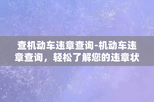 查机动车违章查询-机动车违章查询，轻松了解您的违章状态