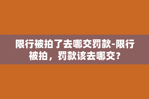 限行被拍了去哪交罚款-限行被拍，罚款该去哪交？