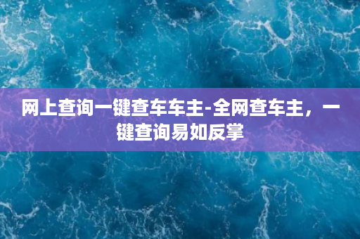 网上查询一键查车车主-全网查车主，一键查询易如反掌