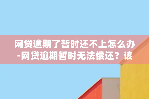 网贷逾期了暂时还不上怎么办-网贷逾期暂时无法偿还？该怎么办？