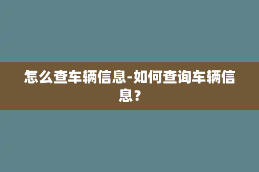 怎么查车辆信息-如何查询车辆信息？