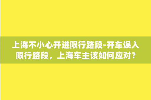 上海不小心开进限行路段-开车误入限行路段，上海车主该如何应对？