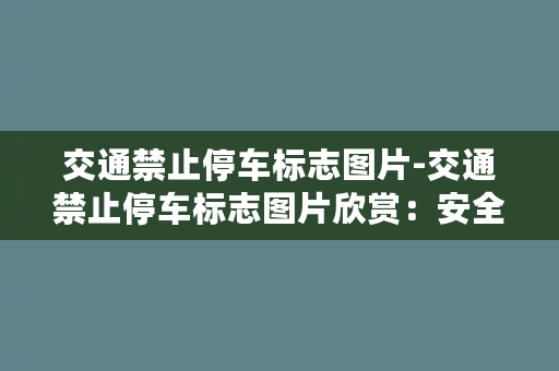 交通禁止停车标志图片-交通禁止停车标志图片欣赏：安全行车从我做起！