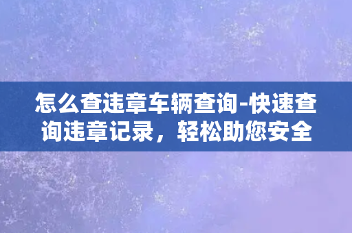 怎么查违章车辆查询-快速查询违章记录，轻松助您安全出行