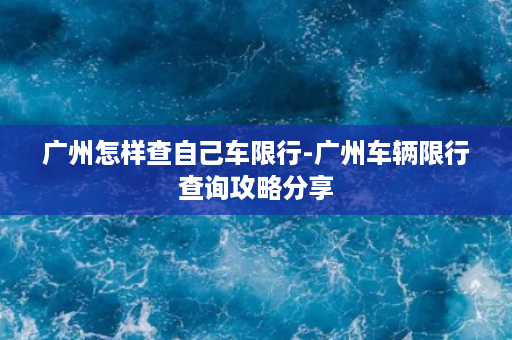 广州怎样查自己车限行-广州车辆限行查询攻略分享