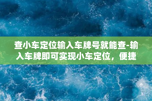 查小车定位输入车牌号就能查-输入车牌即可实现小车定位，便捷高效无需下载！