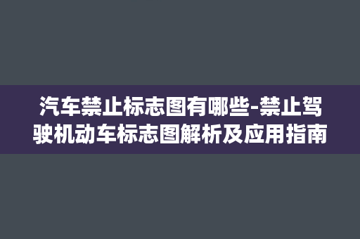 汽车禁止标志图有哪些-禁止驾驶机动车标志图解析及应用指南