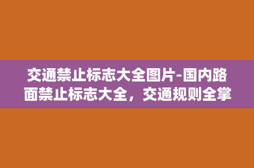 交通禁止标志大全图片-国内路面禁止标志大全，交通规则全掌握