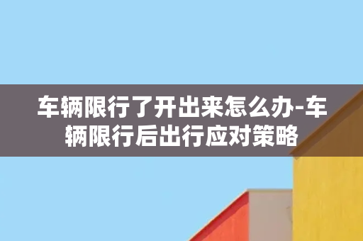 车辆限行了开出来怎么办-车辆限行后出行应对策略