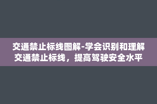 交通禁止标线图解-学会识别和理解交通禁止标线，提高驾驶安全水平