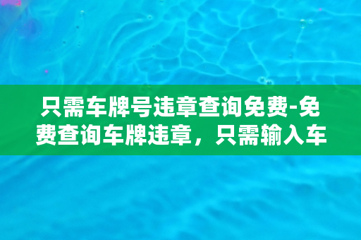 只需车牌号违章查询免费-免费查询车牌违章，只需输入车牌号！