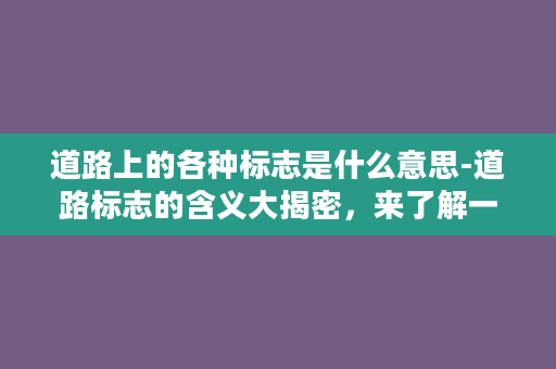 道路上的各种标志是什么意思-道路标志的含义大揭密，来了解一下吧！