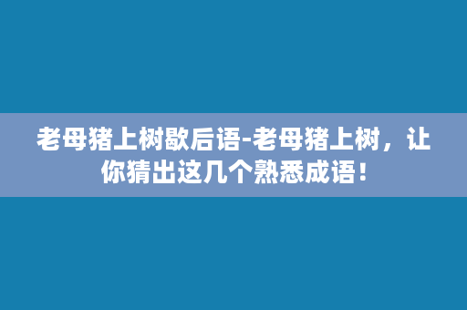 老母猪上树歇后语-老母猪上树，让你猜出这几个熟悉成语！