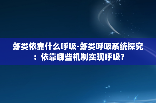 虾类依靠什么呼吸-虾类呼吸系统探究：依靠哪些机制实现呼吸？